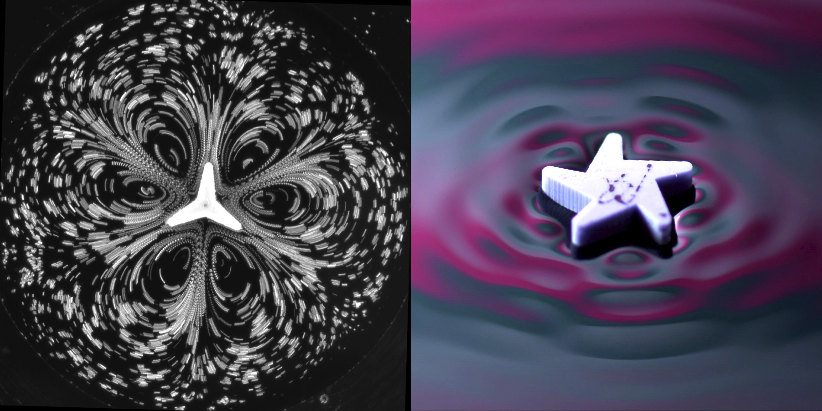 Flows and Waves
