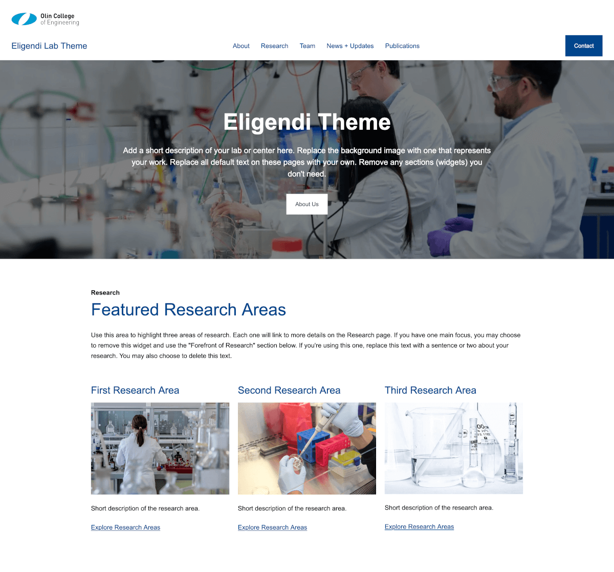 A screenshot of how the Olin Eligendi Lab site looks.