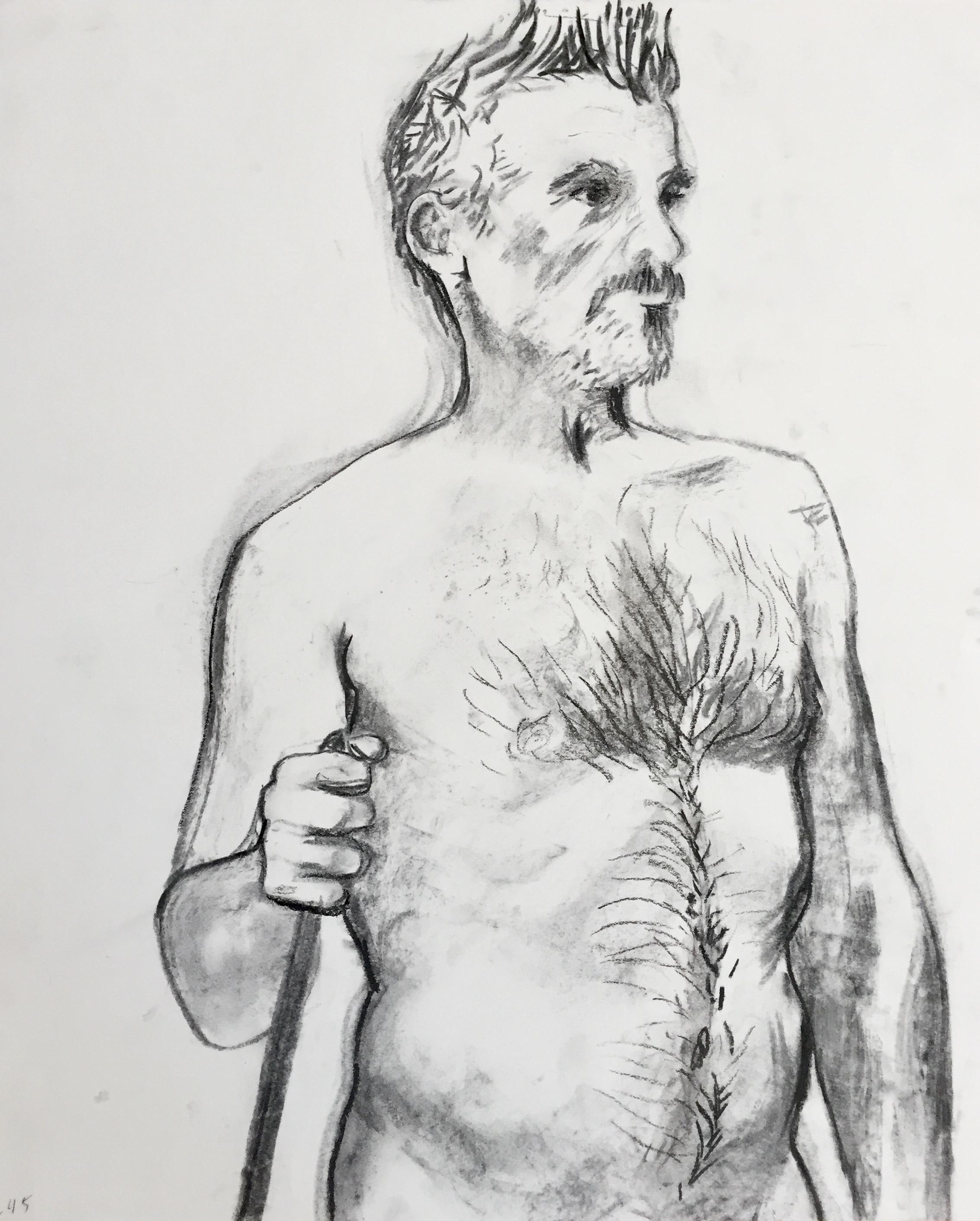 figure drawing of man's torso