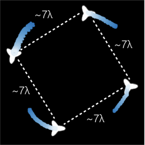 Sync and Self-Assembly