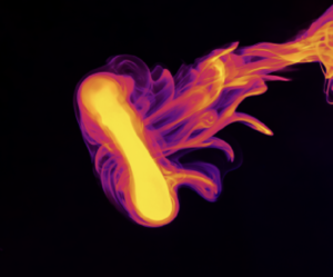 vortex ring